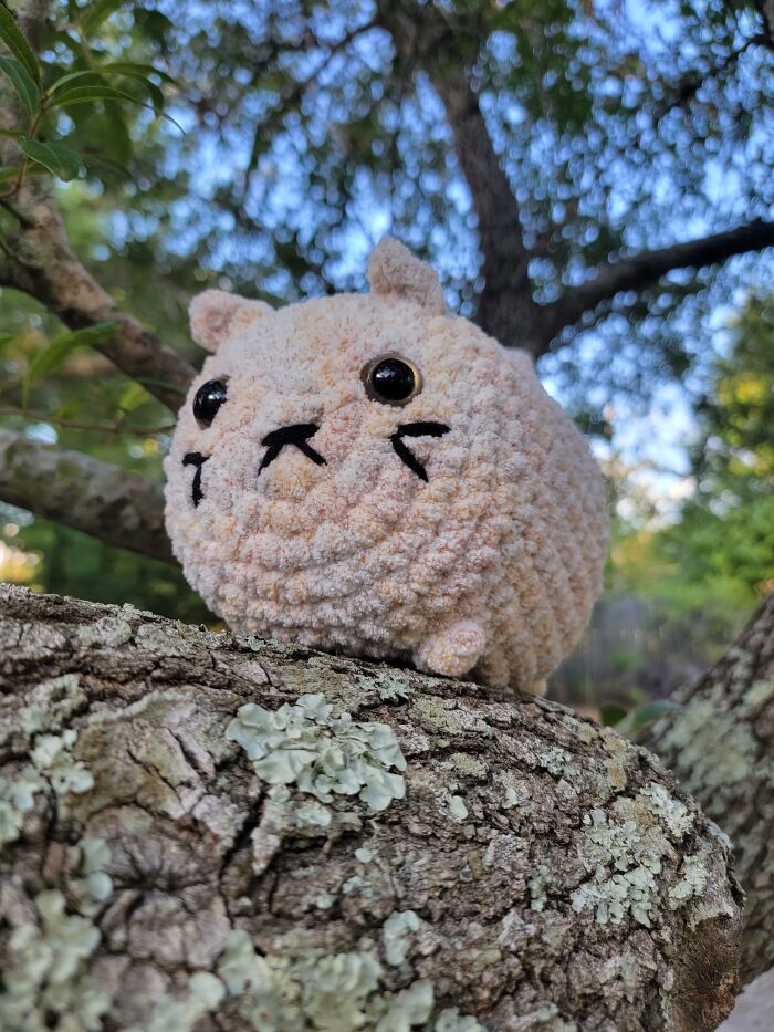 I Made These Crochet Pieces I Made These Crochet Pieces