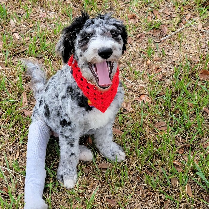 I Made These Crochet Pieces I Made These Crochet Pieces