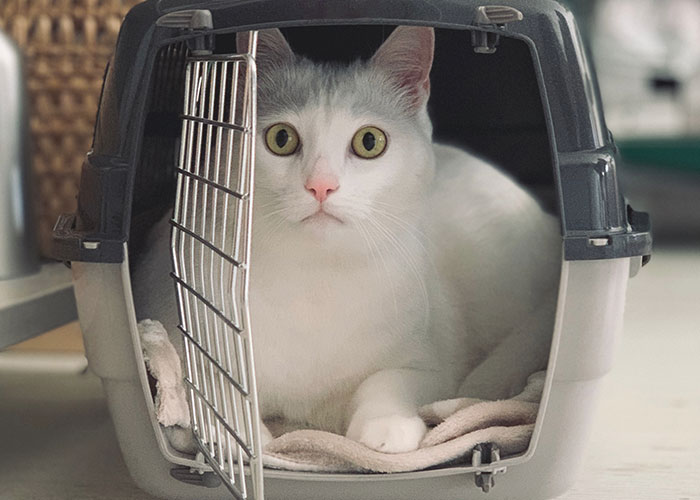 “She Was Screaming The Entire Time”: 50 Horrific Things To Have Happened On Flights “She Was Screaming The Entire Time”: 50 Horrific Things To Have Happened On Flights