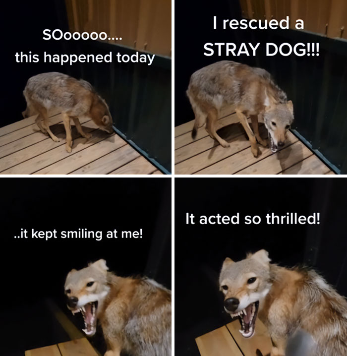 “Hell No”: 50 Times This Online Group Made People’s Palms Sweat With Just Images “Hell No”: 50 Times This Online Group Made People’s Palms Sweat With Just Images