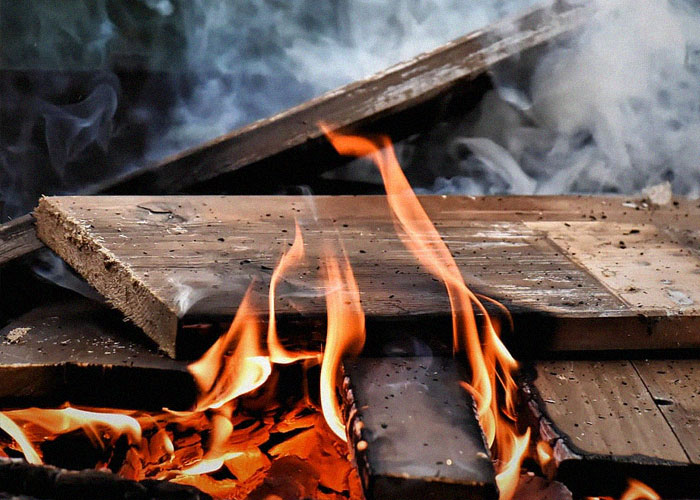 Person Makes Sure Neighbors Never Get To Enjoy Their Yard After They Ruin Dog’s Last Day Outside Person Makes Sure Neighbors Never Get To Enjoy Their Yard After They Ruin Dog’s Last Day Outside
