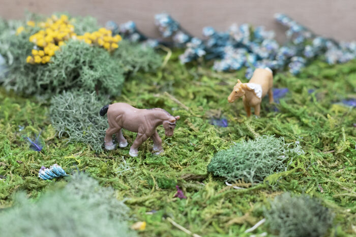 I Make Mini Worlds Out Of Real Flowers And Mosses (22 Pics) I Make Mini Worlds Out Of Real Flowers And Mosses (22 Pics)