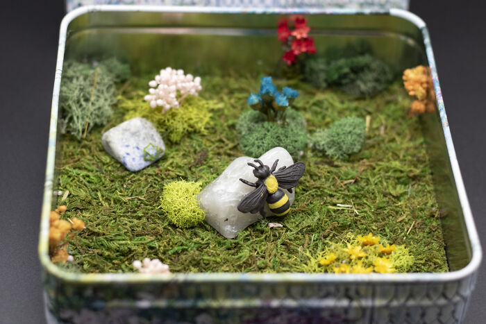 I Make Mini Worlds Out Of Real Flowers And Mosses (22 Pics) I Make Mini Worlds Out Of Real Flowers And Mosses (22 Pics)