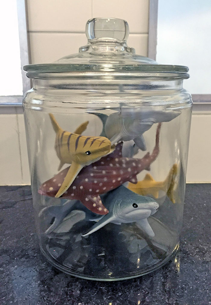 50 Times People Spotted Examples Of Sarcasm In The Workplace And Had To Snap A Photo