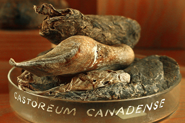 Disturbing Behind-The-Scenes Secrets About 9 Of The Most Popular Meals In The World