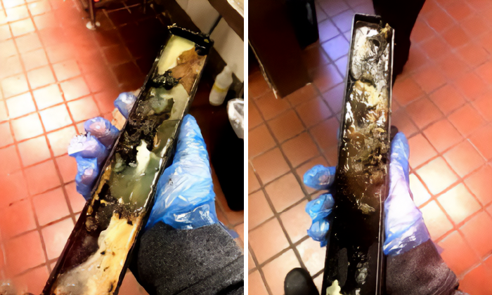 Disturbing Behind-The-Scenes Secrets About 9 Of The Most Popular Meals In The World