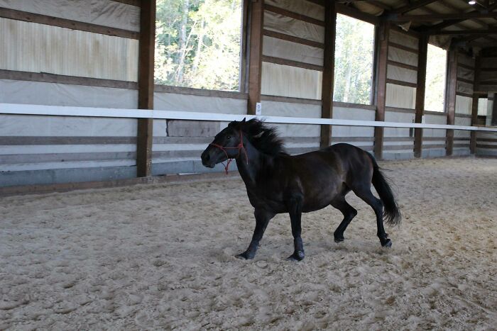 Hey Pandas, Post The Funniest And Most Unhinged Photos Of Your Pet Hey Pandas, Post The Funniest And Most Unhinged Photos Of Your Pet