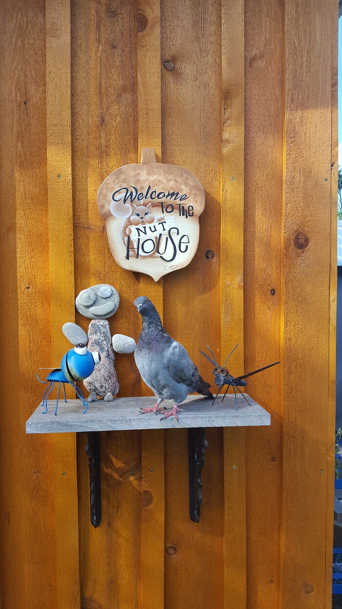 Hey Pandas, Post The Funniest And Most Unhinged Photos Of Your Pet Hey Pandas, Post The Funniest And Most Unhinged Photos Of Your Pet