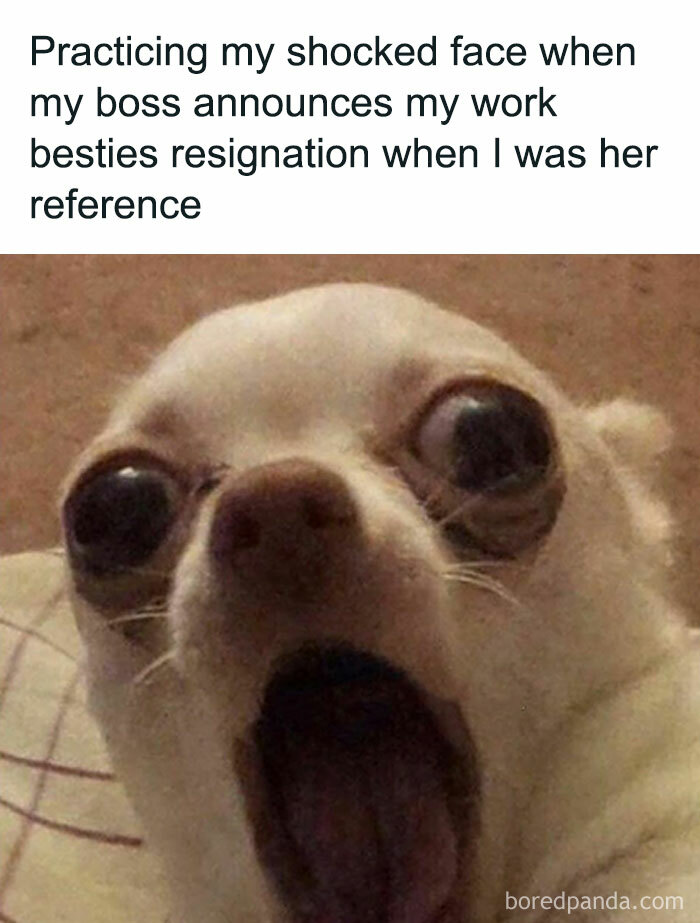 50 Relatable Memes From ‘Humorous Resources’ To Enjoy While You Pretend To Work (New Pics) 50 Relatable Memes From ‘Humorous Resources’ To Enjoy While You Pretend To Work (New Pics)