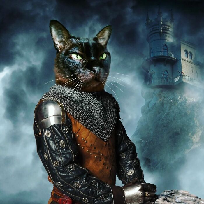 This Artist Swaps People In Classical Paintings With Cats (38 New Pics) This Artist Swaps People In Classical Paintings With Cats (38 New Pics)