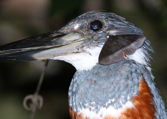 “What Is A True Fact That Sounds 100% Fake?”: 50 Interesting Facts “What Is A True Fact That Sounds 100% Fake?”: 50 Interesting Facts