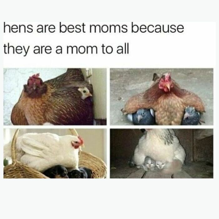 Funny Daily Memes For You (24 Pics)