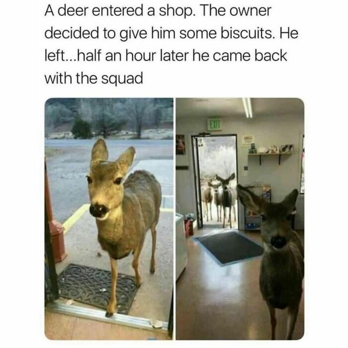 Funny Daily Memes For You (24 Pics)