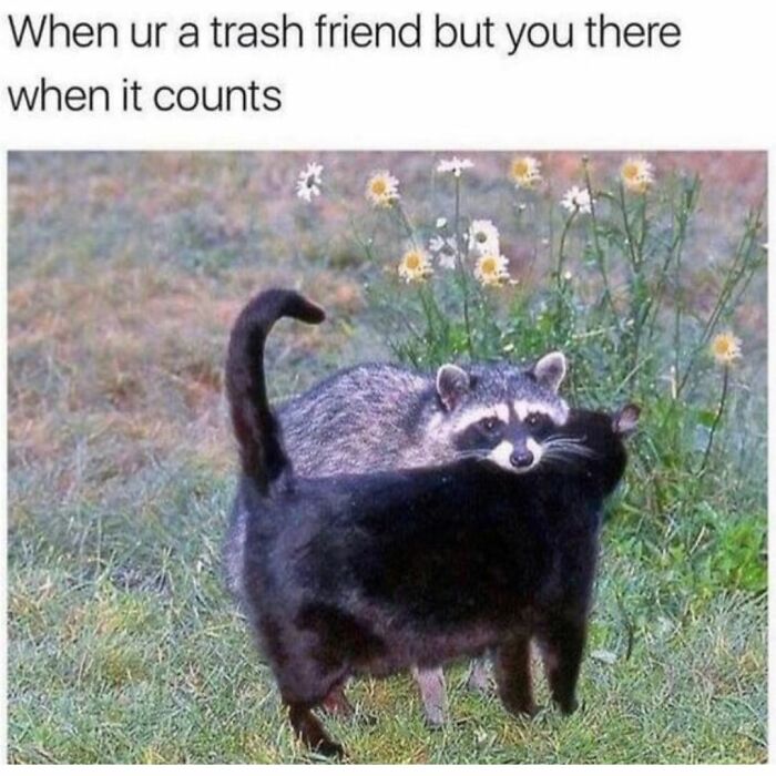 Funny Daily Memes For You (24 Pics)