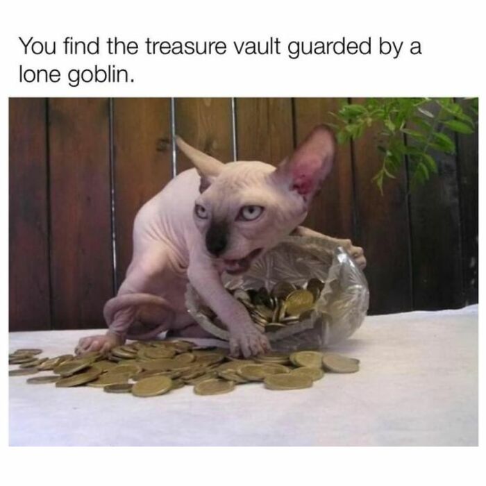 Funny Daily Memes For You (24 Pics)