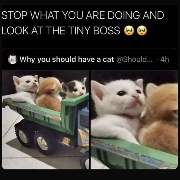 Funny Daily Memes For You (24 Pics)