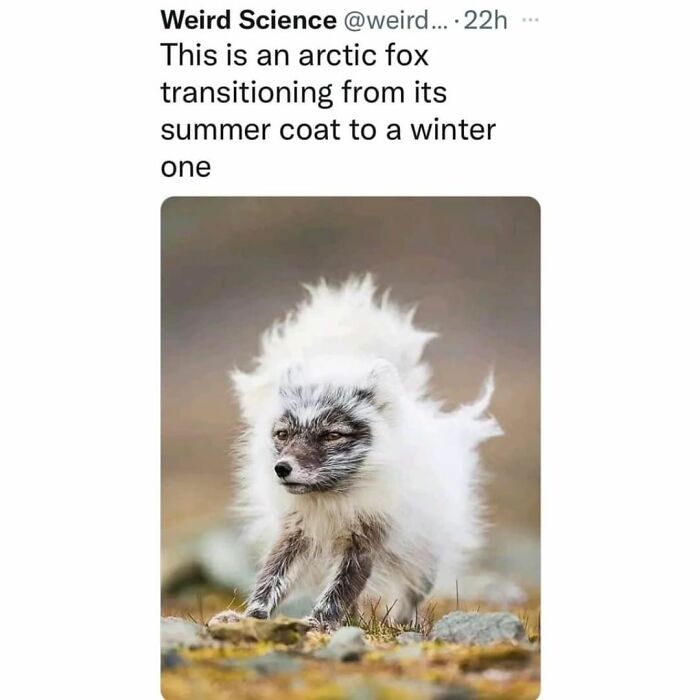 Funny Daily Memes For You (24 Pics)