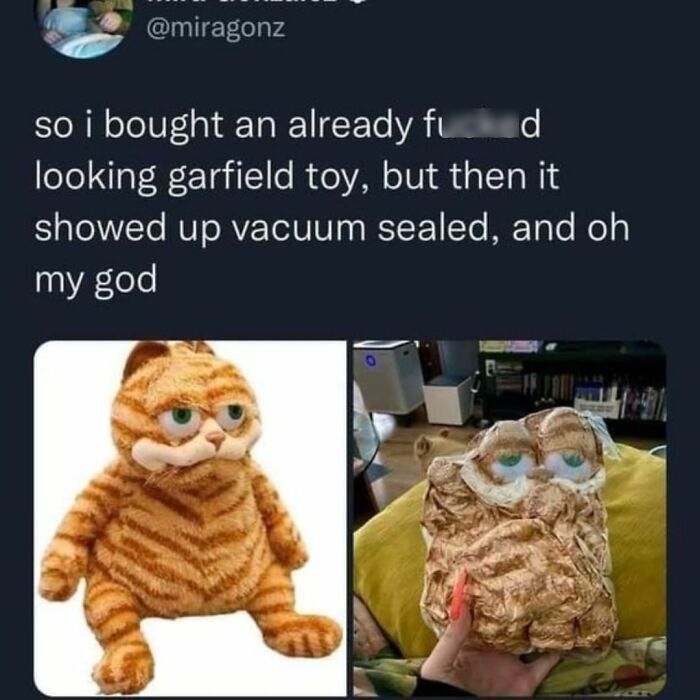 Funny Daily Memes For You (24 Pics)