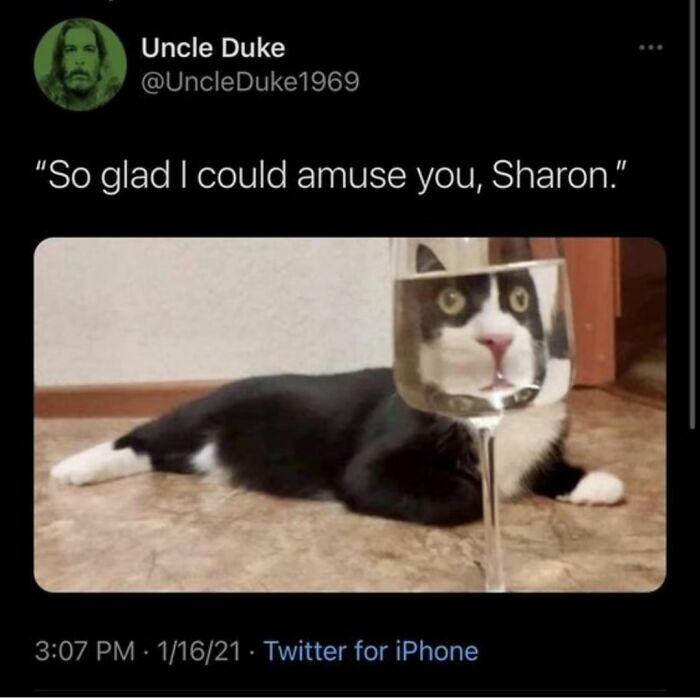 Funny Daily Memes For You (24 Pics)