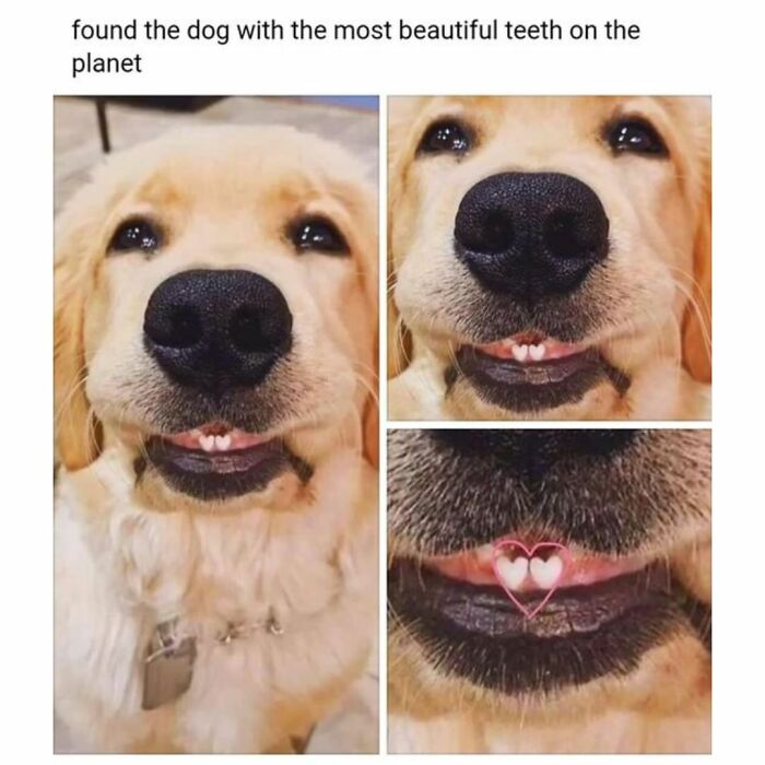 Funny Daily Memes For You (24 Pics)