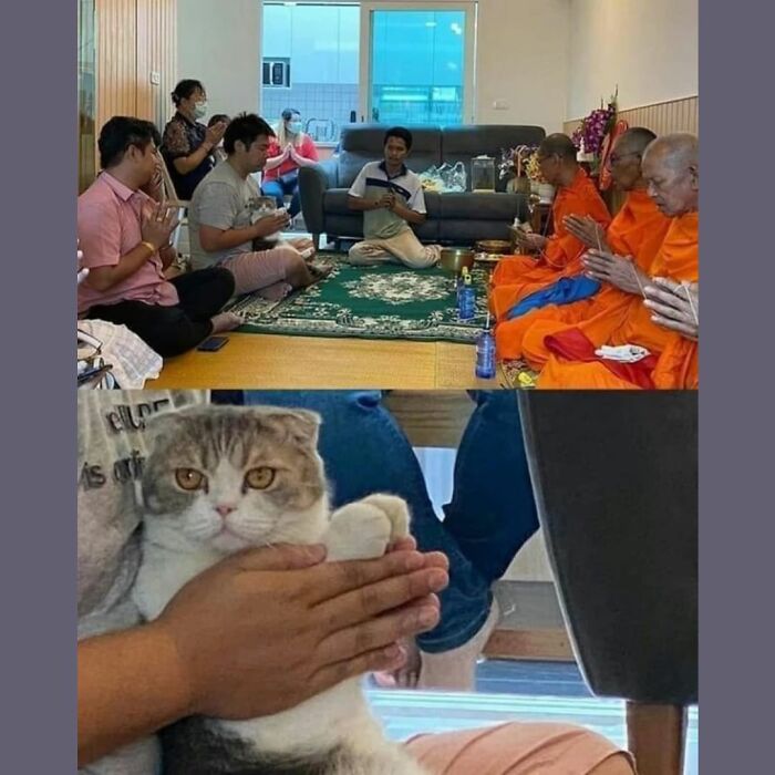 Funny Daily Memes For You (24 Pics)