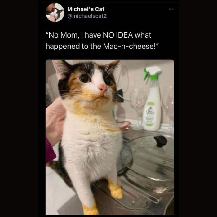 Funny Daily Memes For You (24 Pics)