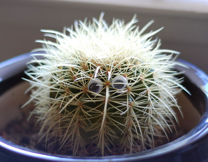 Employees Share The Boldest Things They Secretly Did At Work, Here Are The 30 Best Ones Employees Share The Boldest Things They Secretly Did At Work, Here Are The 30 Best Ones