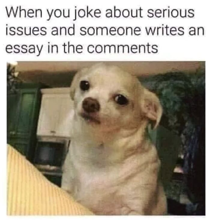 I Collected Funny Memes On Essay Writing (7 Pics) I Collected Funny Memes On Essay Writing (7 Pics)