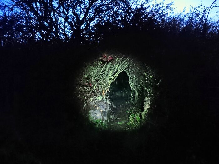 Disconcerting Images (6 Pics)