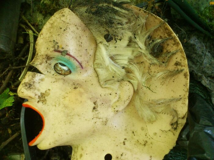 Disconcerting Images (6 Pics)