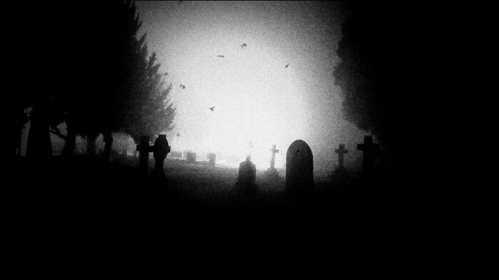 Disconcerting Images (6 Pics)