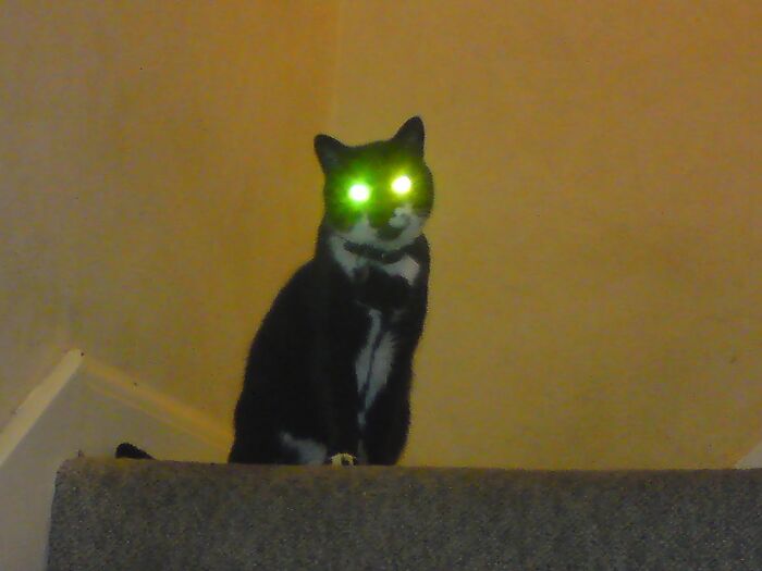 Disconcerting Images (6 Pics)