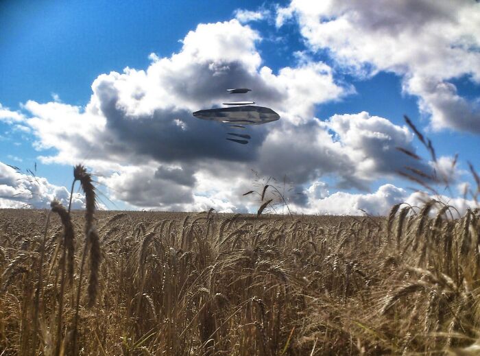 Disconcerting Images (6 Pics)