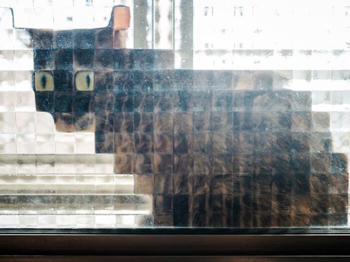 21 Funny Photos Of “Low-Resolution” Cats Behind Pixelated Glass Doors