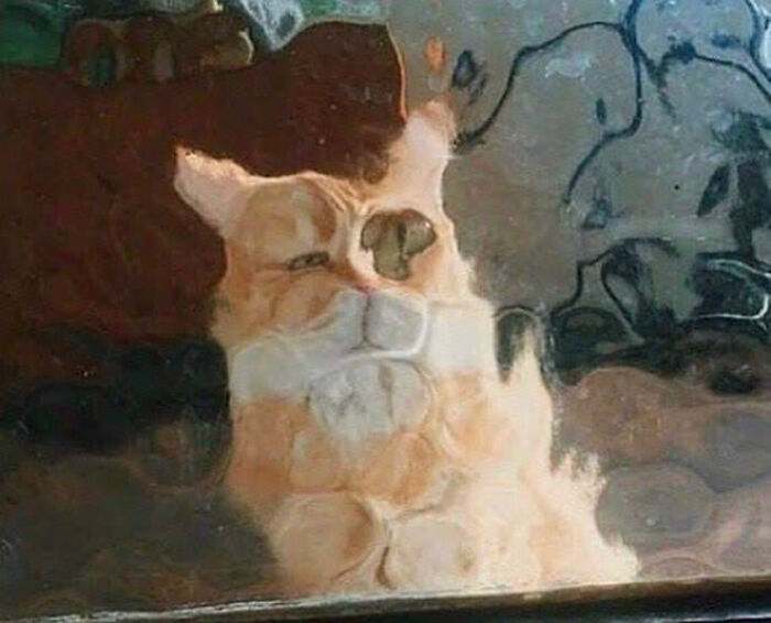 21 Funny Photos Of “Low-Resolution” Cats Behind Pixelated Glass Doors