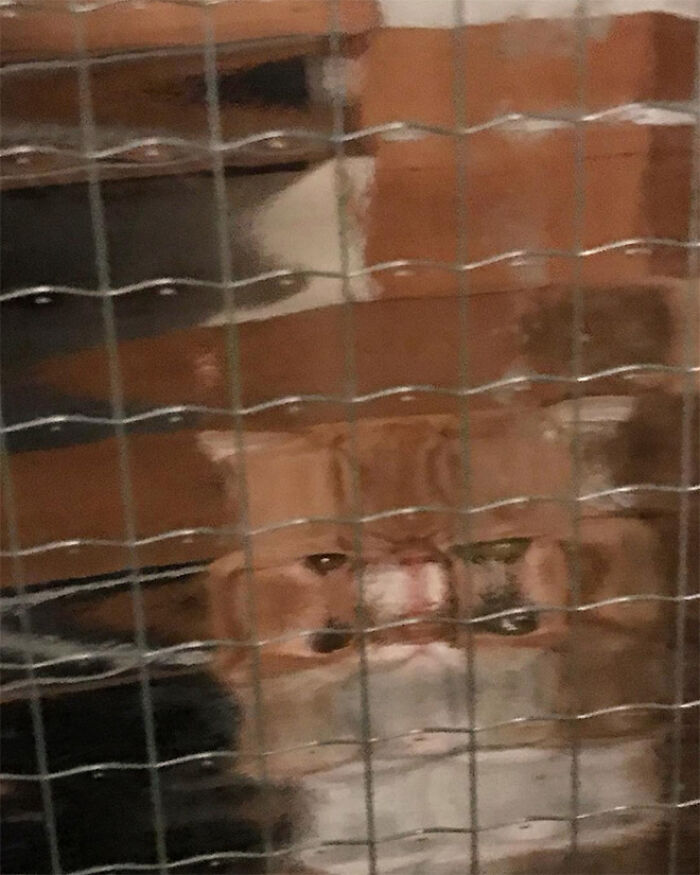 21 Funny Photos Of “Low-Resolution” Cats Behind Pixelated Glass Doors