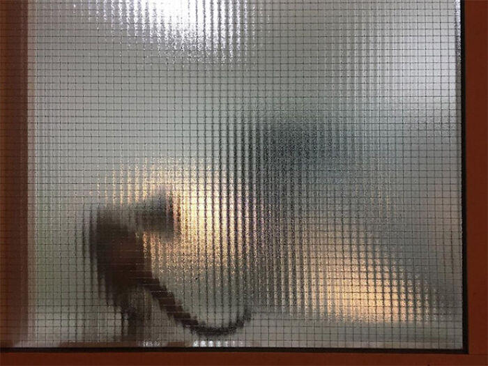 21 Funny Photos Of “Low-Resolution” Cats Behind Pixelated Glass Doors