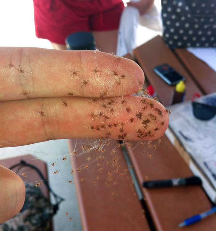 50 Painfully Uncomfortable Pics No One Asked For Ever