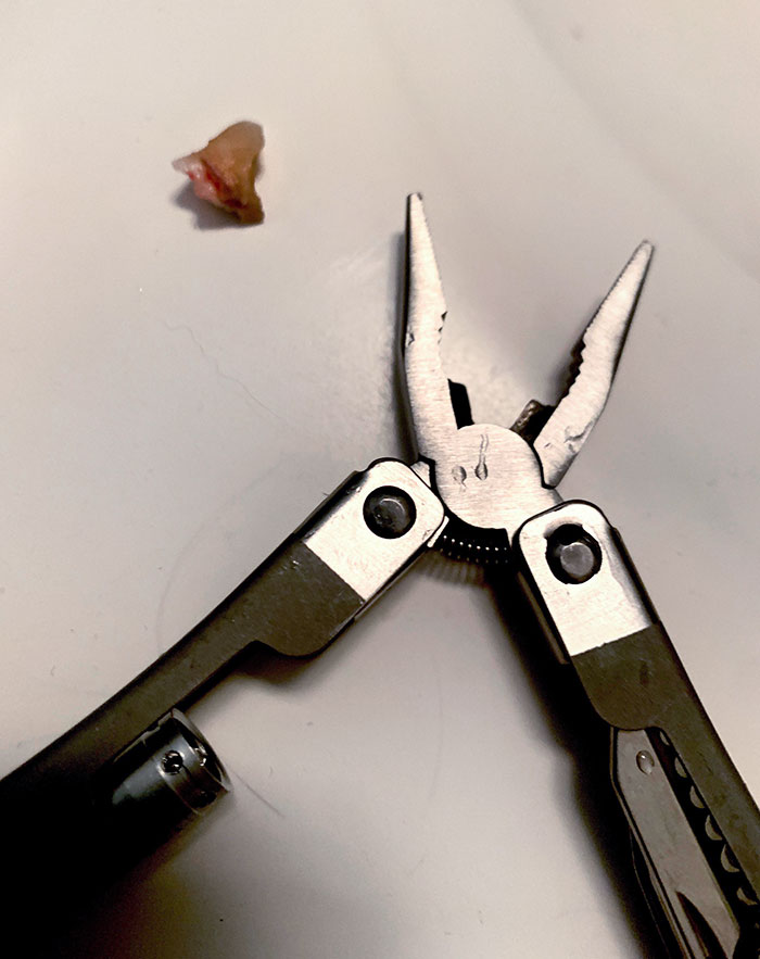 50 Painfully Uncomfortable Pics No One Asked For Ever