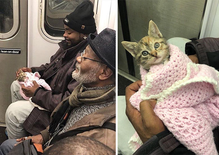 50 Wholesome Posts To Remind You There&rsquo;s Good In The World