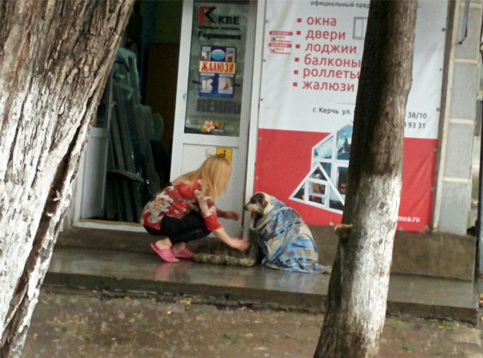 50 Wholesome Posts To Remind You There&rsquo;s Good In The World