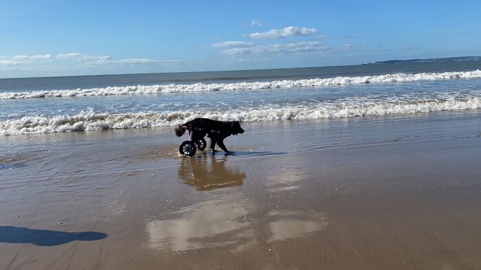 Hey Pandas, What Is Your Favorite Photo On Your Device? (Closed) Hey Pandas, What Is Your Favorite Photo On Your Device? (Closed)