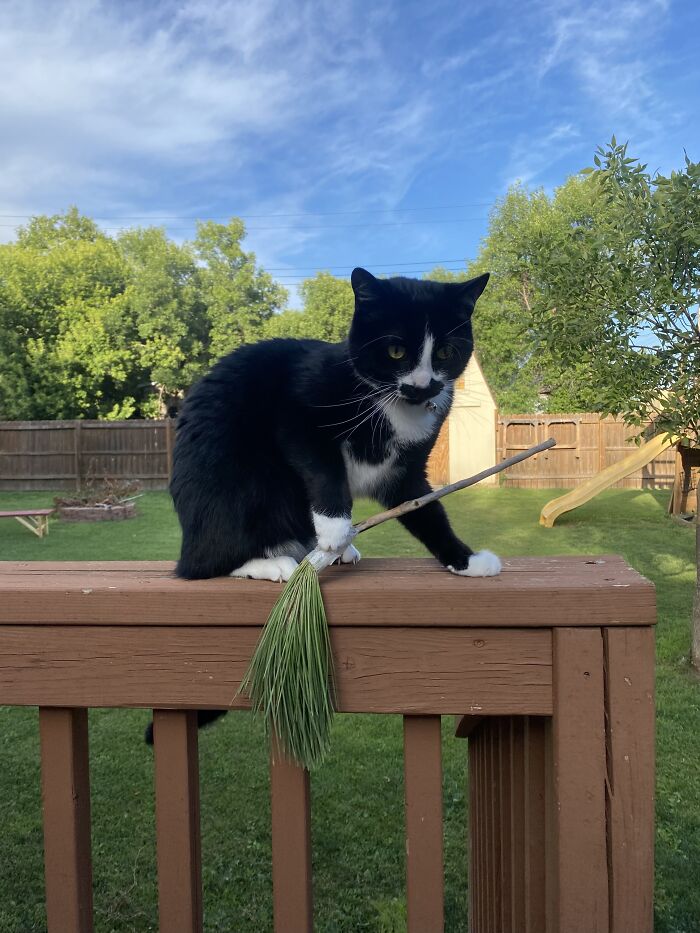 Hey Pandas, What Is Your Favorite Photo On Your Device? (Closed) Hey Pandas, What Is Your Favorite Photo On Your Device? (Closed)