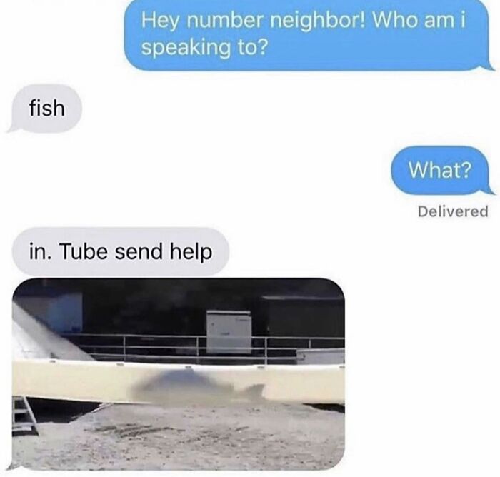 This Page Is Dedicated To The Bizarre Messages People Have Received, Here Are The 45 Best Ones (New Pics) This Page Is Dedicated To The Bizarre Messages People Have Received, Here Are The 45 Best Ones (New Pics)