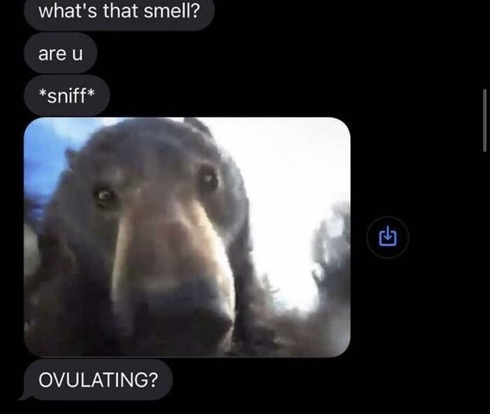 This Page Is Dedicated To The Bizarre Messages People Have Received, Here Are The 45 Best Ones (New Pics) This Page Is Dedicated To The Bizarre Messages People Have Received, Here Are The 45 Best Ones (New Pics)