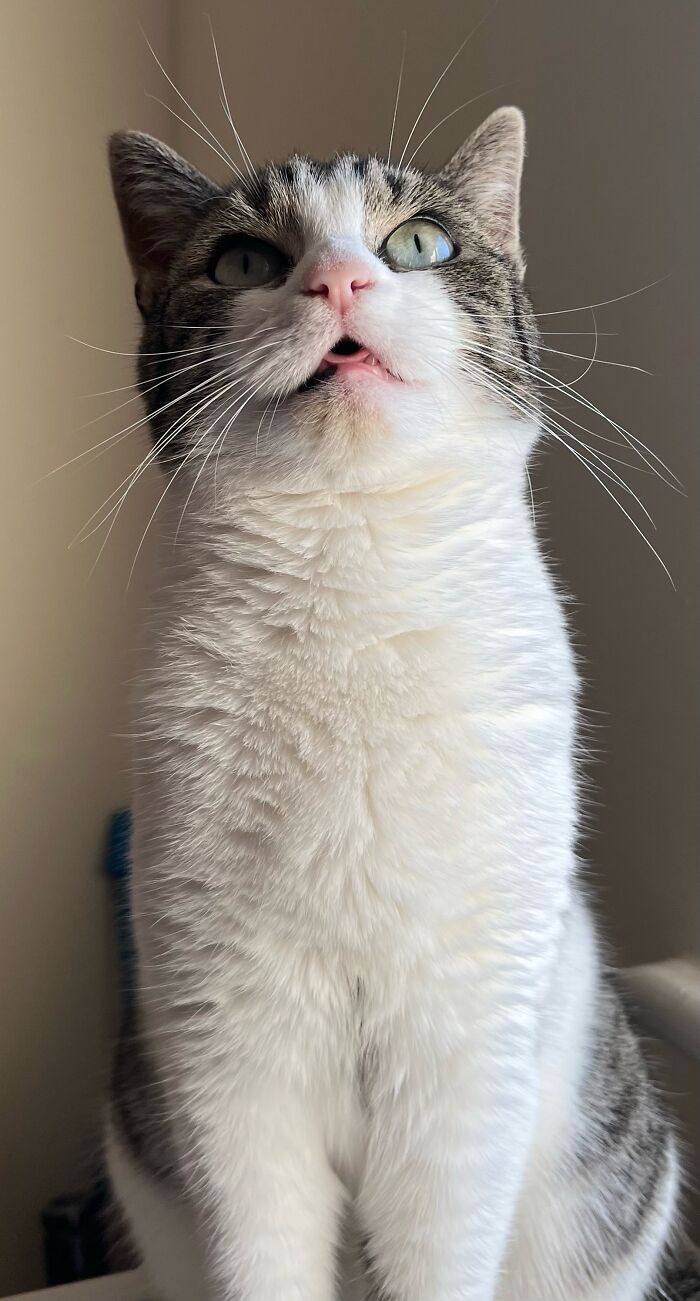 Hey Pandas, Share A Picture Of Your Perfect Weekend (Closed) Hey Pandas, Share A Picture Of Your Perfect Weekend (Closed)