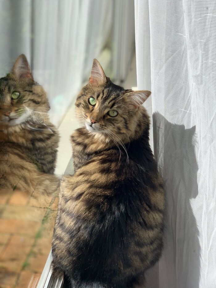 Hey Pandas, Share A Picture Of Your Perfect Weekend (Closed) Hey Pandas, Share A Picture Of Your Perfect Weekend (Closed)