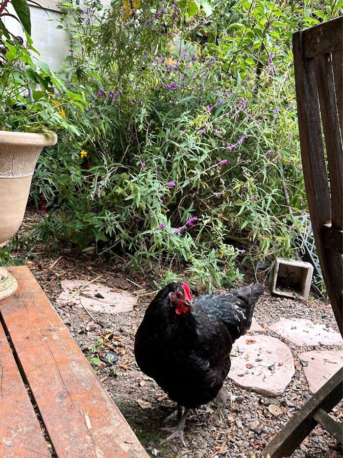 Hey Pandas, Share A Picture Of Your Perfect Weekend (Closed) Hey Pandas, Share A Picture Of Your Perfect Weekend (Closed)