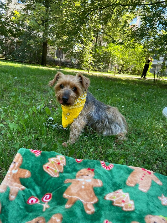 Hey Pandas, Share A Picture Of Your Perfect Weekend (Closed) Hey Pandas, Share A Picture Of Your Perfect Weekend (Closed)