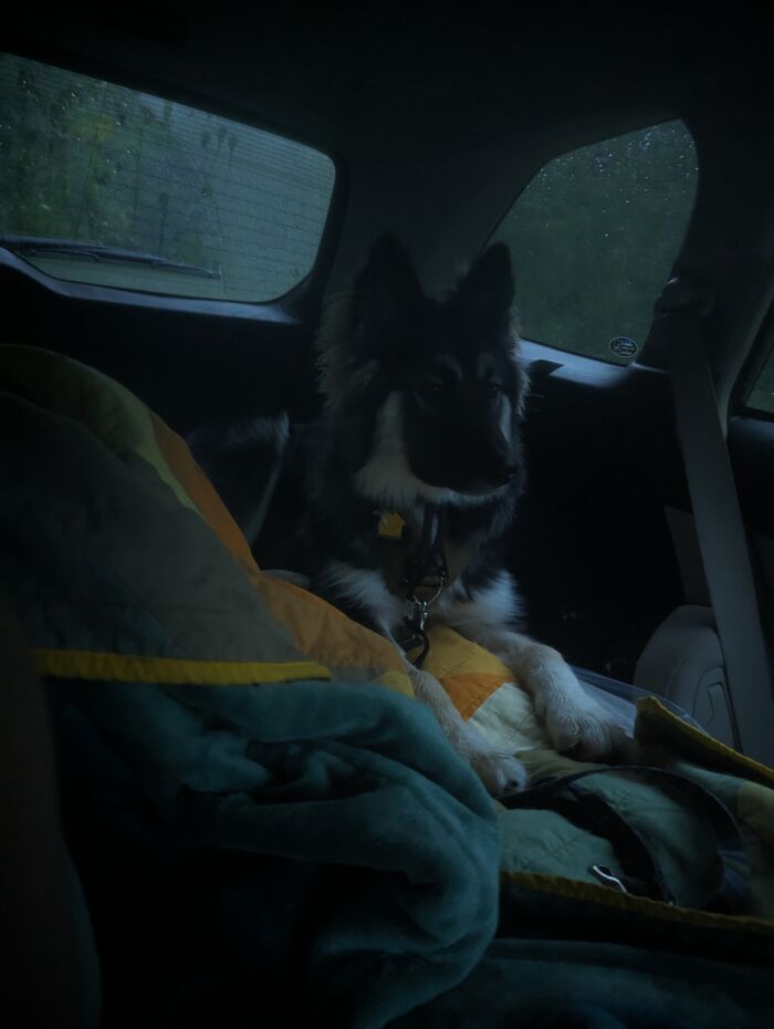 Hey Pandas, Share A Picture Of Your Perfect Weekend (Closed) Hey Pandas, Share A Picture Of Your Perfect Weekend (Closed)